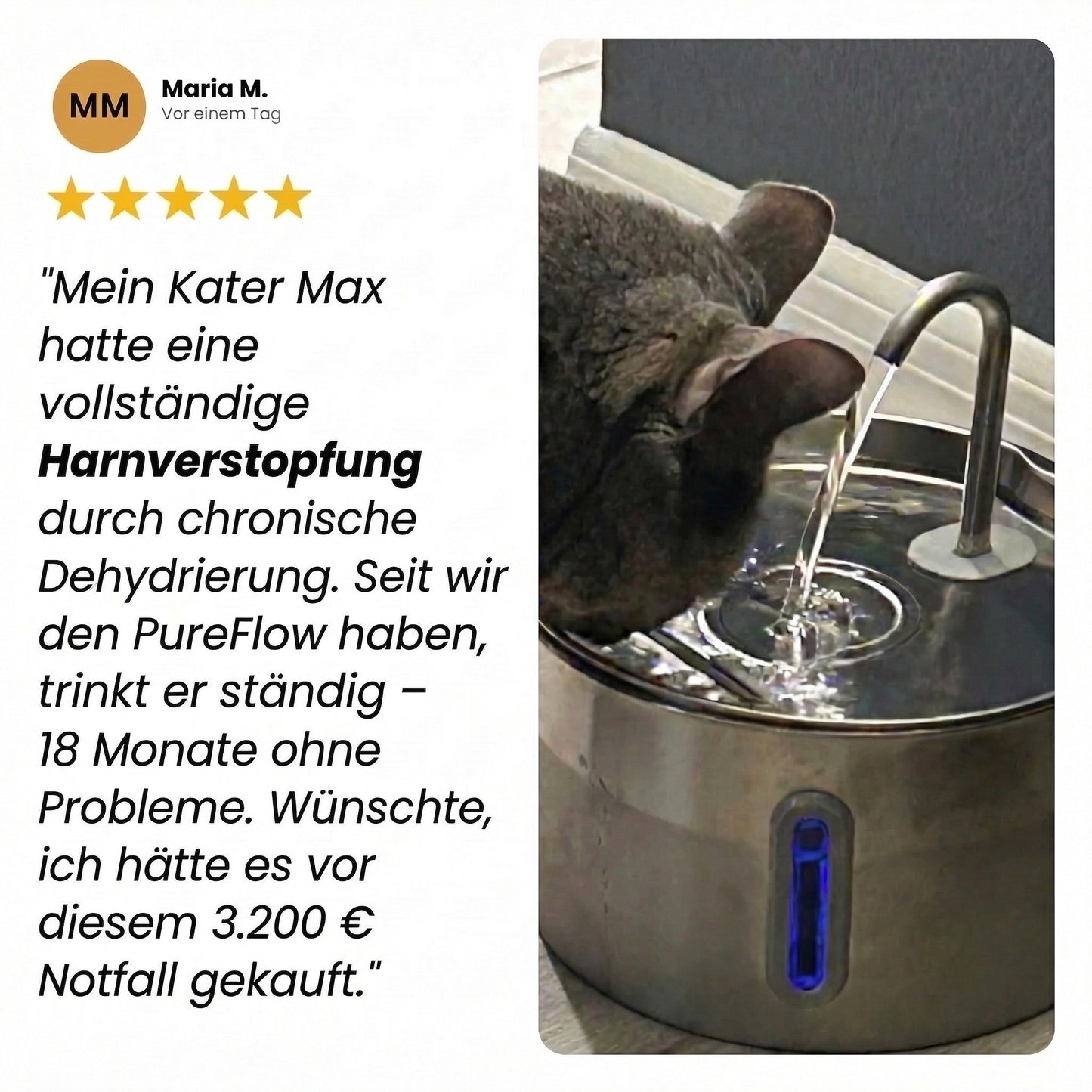 PureFlow™ Pro — Edelstahl Trinkbrunnen für Katzen