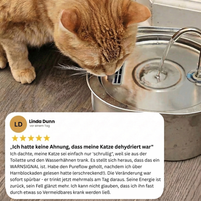 PureFlow™ Pro — Edelstahl Trinkbrunnen für Katzen