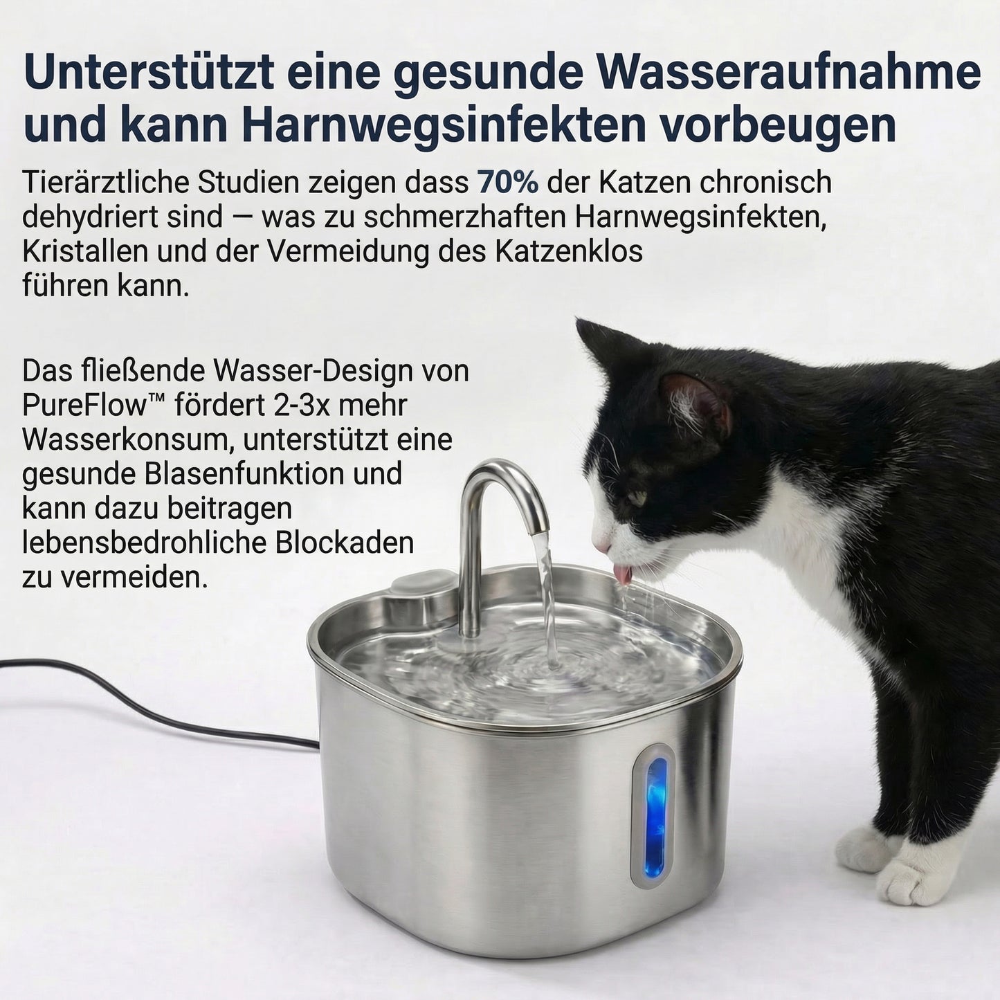 PureFlow™ Pro — Edelstahl Trinkbrunnen für Katzen