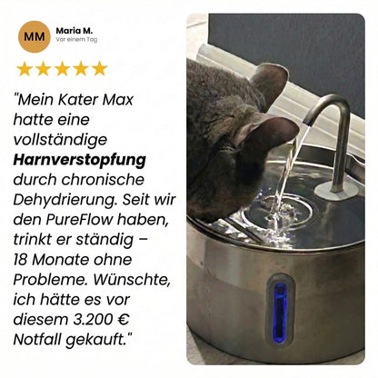 PureFlow™ Pro — Edelstahl Trinkbrunnen für Katzen