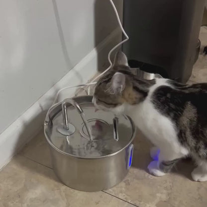 PureFlow™ Pro — Edelstahl Trinkbrunnen für Katzen